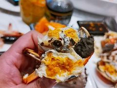 -半岛听涛蒸汽海鲜自助(K11店)