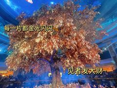 -珠海拱北口岸