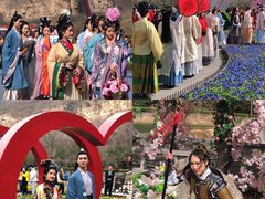 -云台山风景名胜区