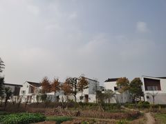 -东梓关景区村庄
