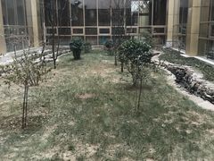 -北京德尔康尼骨科医院
