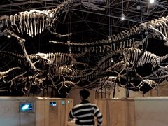 -世界恐龙谷景区