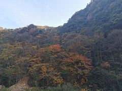 -白云源风景区