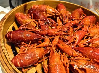 夏季的夜晚属于小龙虾啊