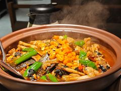 小霸王甲鱼砂锅蛙-蛙小侠(珠海华发商都店)