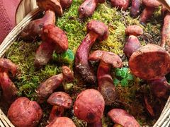 -滇野云南野生菌餐厅(陕西南路店)