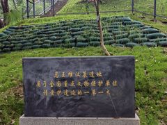 -马王堆汉墓遗址