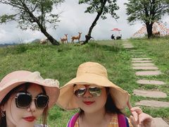 -硗碛藏寨·神木垒景区