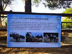 -青藏高原野生动物园
