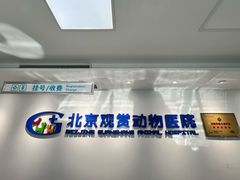 -北京观赏动物医院·24小时大型综合·猫专科·异宠专科