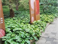 -香山公园