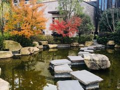 -上海崇明金茂凯悦酒店