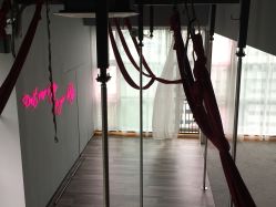 -桃秘钢管舞Peach Pole Fitness