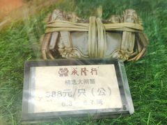 -成隆行·蟹王府(九江路店)