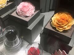 -ROSEONLY诺誓(广州K11店)