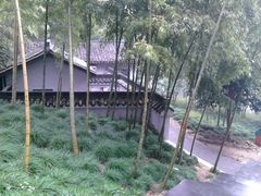 景点-上海佘山国家森林公园西佘山园