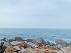 -广东惠东海龟国家级自然保护区