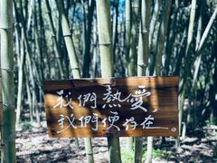 -古堰画乡景区