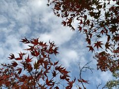 -梁鸿国家湿地公园