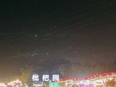 -枇杷园食为鲜火锅(南山店)