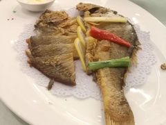 -骏莱海鲜鱼港(五角场店)
