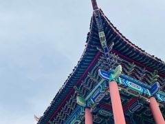 -武陵山森林公园