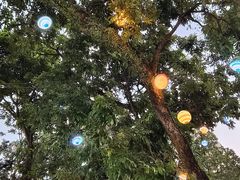 -三溪村