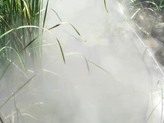 -武汉紫薇都市田园