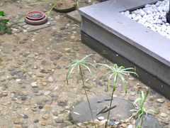 大堂-归觅·西关小姐人文艺术馆(荔枝湾店)