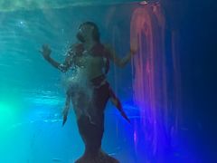 -海棠湾洲际-涛·海底餐厅·美人鱼·自助餐·海底隧道