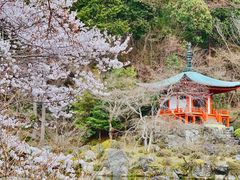 -醍醐寺