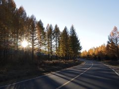 -塞罕坝国家级自然保护区