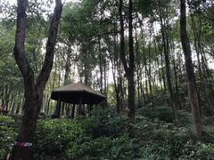-重庆彩云湖湿地公园