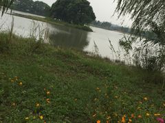 -梁鸿国家湿地公园