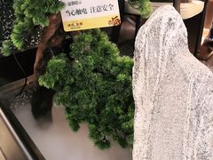 -洪氏嗨捞·猪肚鸡火锅(阳光天地店)