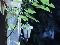 -二楼南书房