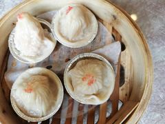 -新世纪大酒楼·30年南海菜