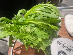 -春润大地海南椰子鸡(沙井京基百纳广场店)