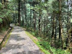 -苍山感通索道