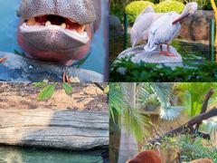 -灵玲国际马戏城