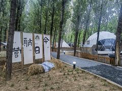-森林小栈TreeStation露营基地