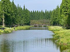 -黄海国家森林公园