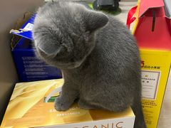 -安安宠医·臻爱宠物医院·宠保定点(营门口路分院)