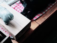 -海边的猫和咖啡馆