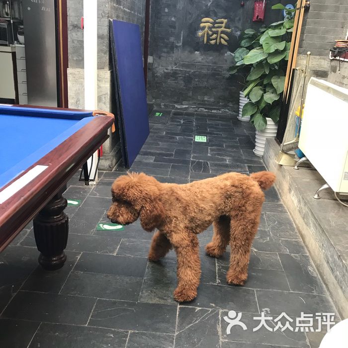 四合院轰趴馆之铁瓷儿