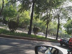 -龙塔