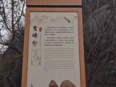 -北京鹫峰国家森林公园
