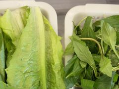 -正能量脆肉鲩火锅