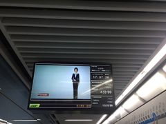 -大龙山(地铁站)