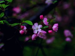 -黄兴公园